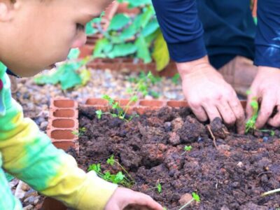 Cultivando uma horta comunitária: a experiência no CTA Canindé