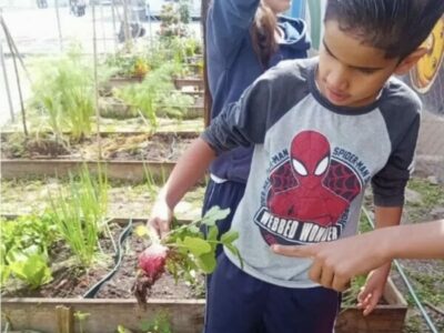 Horta “Do Broto à Borboleta”: a magia da transformação